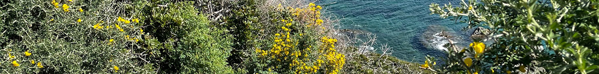 Pascaline-Lumbroso-lart-de-vous-accompagner-150px2 Pascaline-Lumbroso-lart-de-vous-accompagner